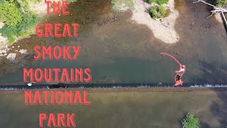 Wild Trout Fishing in the Great Smoky Mountains National Park Tennessee [upl. by Ainoz]