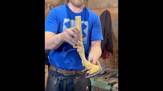 Suspensory Ligament Sprain Horseshoe horsehoof farrier horsecare horsemanship farrierlife [upl. by Olnee]