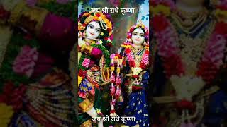 ओ मोहन मेरे प्यारे  trendingshorts harekasaharababashyamhumara jaishreeshyam ringus sriji [upl. by Cesya]