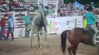 Horse lands on Cowboy [upl. by Borden]