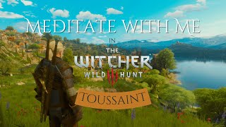 Meditate with Me in The Witcher 3  Toussaint Pomodoro Timer Next Gen RTX [upl. by Gennaro]