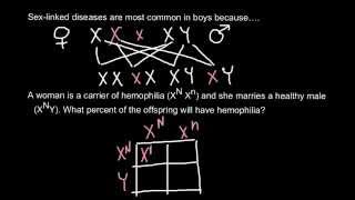 Genetic explanation of how hemophilia inherited [upl. by Essyla]