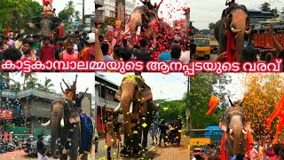 കാട്ടകാമ്പാലമ്മയുടെ ആനപ്പടയുടെ വരവ്  കാട്ടകാമ്പാൽ പൂരം 2023 [upl. by Anilrac]