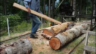 Home made twin blade sawmill in action [upl. by Panaggio237]