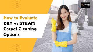 How to Evaluate Dry vs Steam Carpet Cleaning Options [upl. by Patterson]