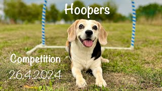 Hoopers  Competition 264 BEAGLE [upl. by Aiekam]