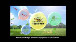 虎標鎮痛藥布 Tiger Balm Plaster 英文台版 [upl. by Nyladnek]