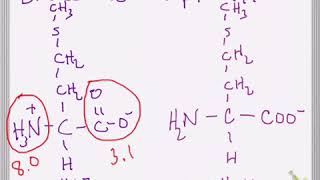 Effect of pH and pKa on Amino Acid Structure [upl. by Tigdirb]