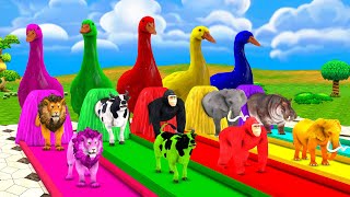 5 Giant Ducks Lion Cow Elephant Gorilla Hippo Guess The Right Door ESCAPE ROOM CHALLENGE Animal Game [upl. by Yrhcaz19]