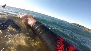 GoPro Shark Scare [upl. by Noira306]