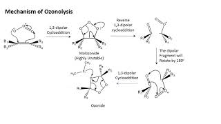 Ozonolysis  An overview in less than 7 minutes [upl. by Cleo605]