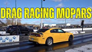 drag racing highlights at napierville dragway [upl. by Maynord143]