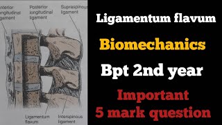 ligamentum flavum biomechanics in tamil ligaments of spinebiomechanics of spinebptbiomechanics [upl. by Vezza]