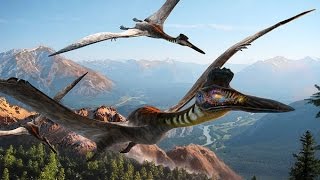 Dinosaurs Documentary  Largest flying creature ever  Pterosaurs Documentary HD [upl. by Ardaed546]