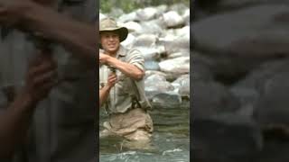 A River Runs Through It Clip 1992  A prodigal fisherman 🎣 bradpitt montana youtubeshorts [upl. by Cogen]