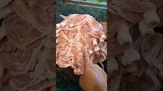 Alfaham amp shawarma Chiken hotellife food viralshort trending cheflife [upl. by Eilime]