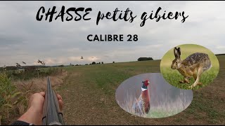 CHASSE aux petits gibiers au calibre 28 perdrix faisans lièvres [upl. by Lybis712]