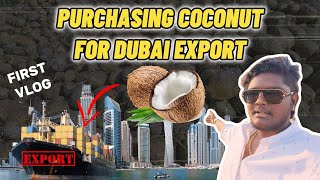 Vlog 1 Purchasing Coconut for Dubai Export business export dubai [upl. by Besse]