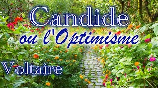 Candide Voltaire [upl. by Ecerahs]