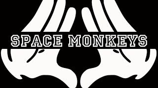 ACABOU O CANAL  O QUE HOUVE  SPACE MONKEYS [upl. by Hellman]