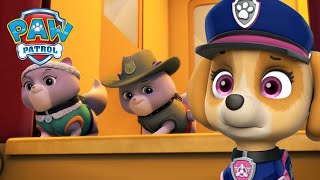 Misja ratunkowa pieski ratują królewskie kocięta  Psi Patrol PAW Patrol po polsku [upl. by Stalker]