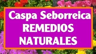 Síntomas de la Dermatitis Seborréica Causas Tratamientos y Remedios [upl. by Annis]