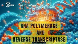 Difference between Reverse Transcriptase and RNA Polymerase Comparison [upl. by Adilen]