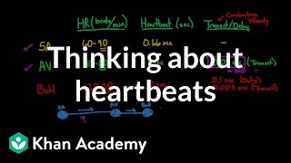 Thinking about heartbeats  Circulatory system physiology  NCLEXRN  Khan Academy [upl. by Maples511]