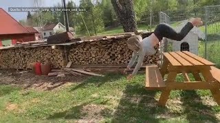 Natursprung Kuh und Stier Aubrac Bulle deckt Kuh brünstige Kuh wird besamt [upl. by Bradwell]