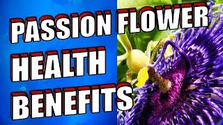 PASSION FLOWER REVIEW  Amazing Health Benefits and Uses for Anxiety Sleep amp Tea [upl. by Daniella]