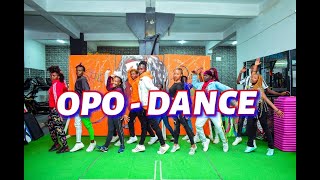 OPO  DANCE VIDEO 2Baba ft WizkidDmk Captures [upl. by Adnilec]