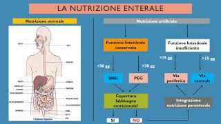 Nutrizione artificiale enterale [upl. by Yrennalf]