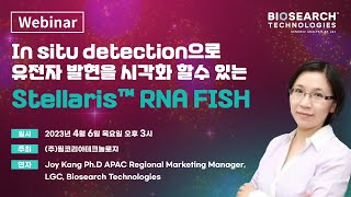 Biosearch Technologies RNA Spatial 분석 Stellaris RNA FISH를 소개합니다 [upl. by Itoyj]