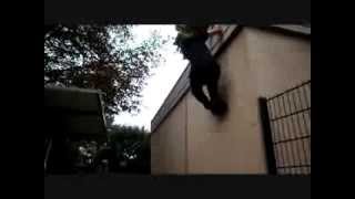 Parkour 95 2013 [upl. by Satterfield71]