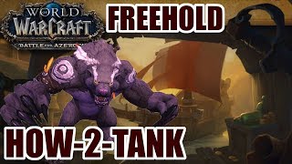 HowtoTank BFA Freehold NormalHeroicMythic Guide [upl. by Kassel]