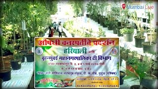 Herbal plants exhibition in Malad  Mumbai Live [upl. by Eeresid232]