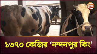 নন্দনপুর কিং খুলনার হাটে সবচেয়ে বড় গরু  Kurbanir Goru  Khulna  Channel 24 [upl. by Brine]