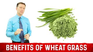 12 Scientific Health Benefits of Wheat Grass Powder by Dr Berg [upl. by Aynatal418]