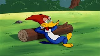 Woody Woodpecker Show  Woodsy Woody  Full Episode  Videos For Kids [upl. by Sly]