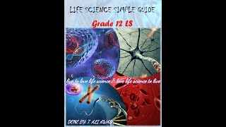 Immunology part 10 grade12 LS immunology Document 6 and 7 Antigen Recognition by BL and TL [upl. by Ehcor]