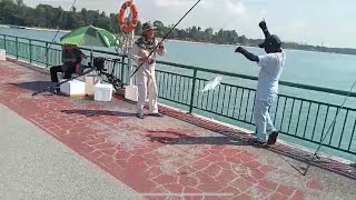 Bedok Jetty few fish landed [upl. by Ayal46]