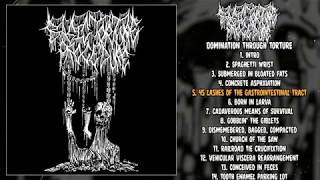 Basic Torture Procedure  Domination Through Torture FULL ALBUM 2020  Goregrind [upl. by Ondine]