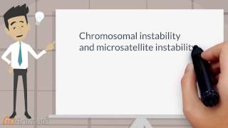 Chromosomal and microsatellite instability [upl. by Celina]