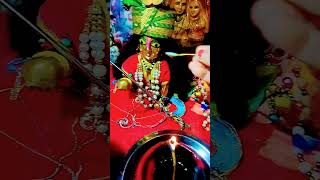 ₹ wedding shribankeybiharivrindavan love live news song shilpashetty vrindavan bankebihari [upl. by Leibarg748]