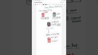 Molecular biology Lecture 2 Fraenkel Conrats experiment  RNA world hypothesis [upl. by Wilder]