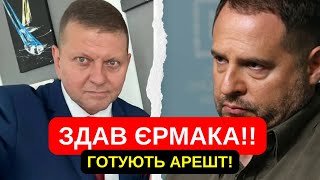 ЗДАВ ЄРМАКАГОТУЮТЬ АРЕШТ ВЛАДА ДОГРАЛАСЬ КОРУПЦІОНЕРИВОРОГ НА БАНКОВІЙ [upl. by Llewellyn]