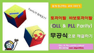 444 555 큐브  토끼이빨 바보토끼이빨 무공식으로 해결해설 추가 444 555 Cube OLL  PLL Parity solved by NON ALGORITHMS [upl. by Ecirehs]