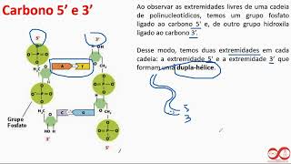 Pilula Óptica 50 Ligações DNA [upl. by Nhguavaj]