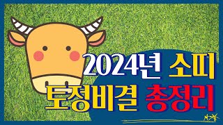 2024년 61년생 소띠 토정비결 운세 [upl. by Marlow]