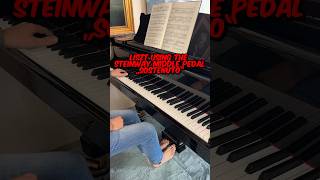 Liszt composing for the sostenuto pedal of Steinway Consolation no3 liszt [upl. by Graniah]